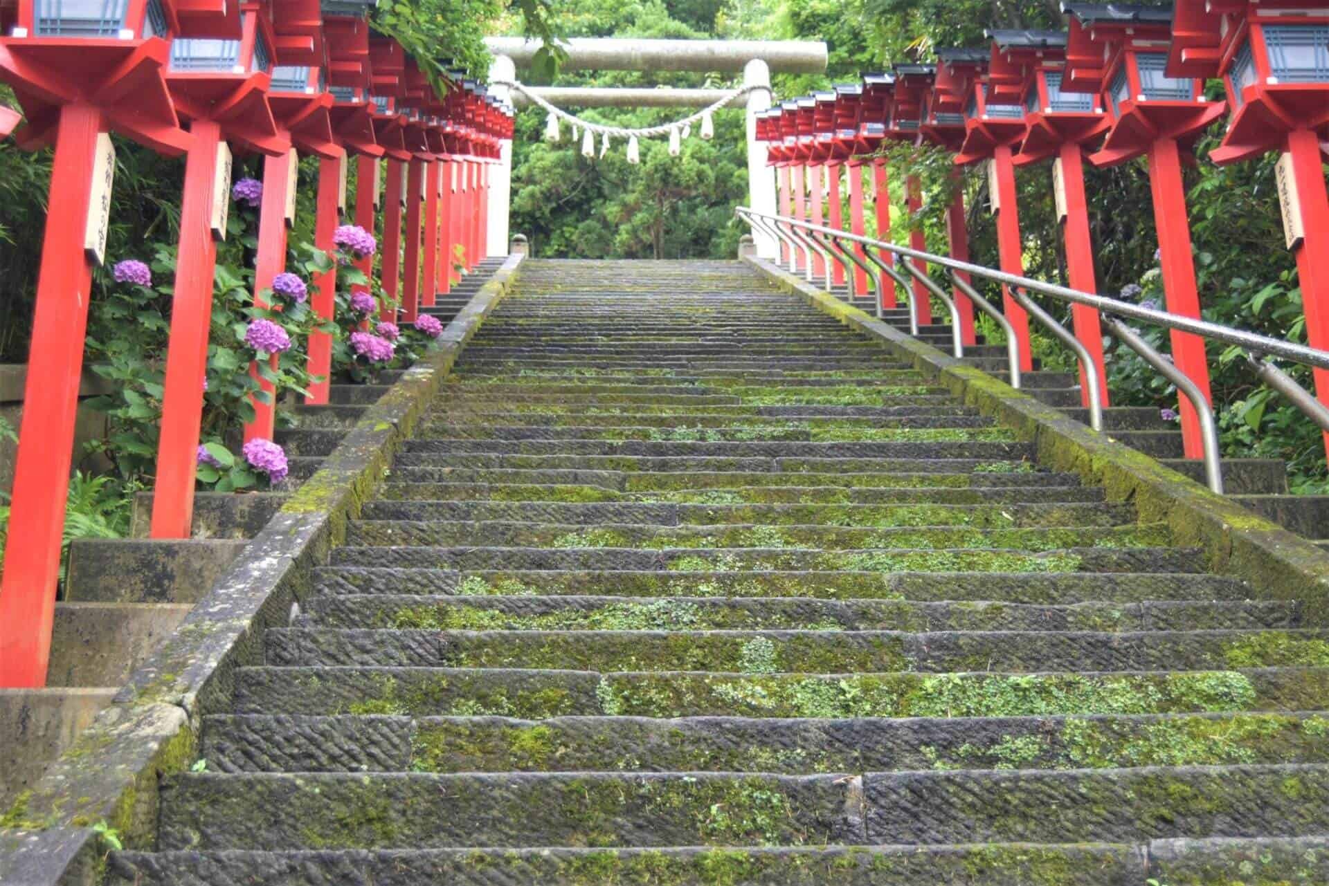 ⛩️ 먼 곳을 보는 곶 신사 (도미사키 신사) 이미지 8